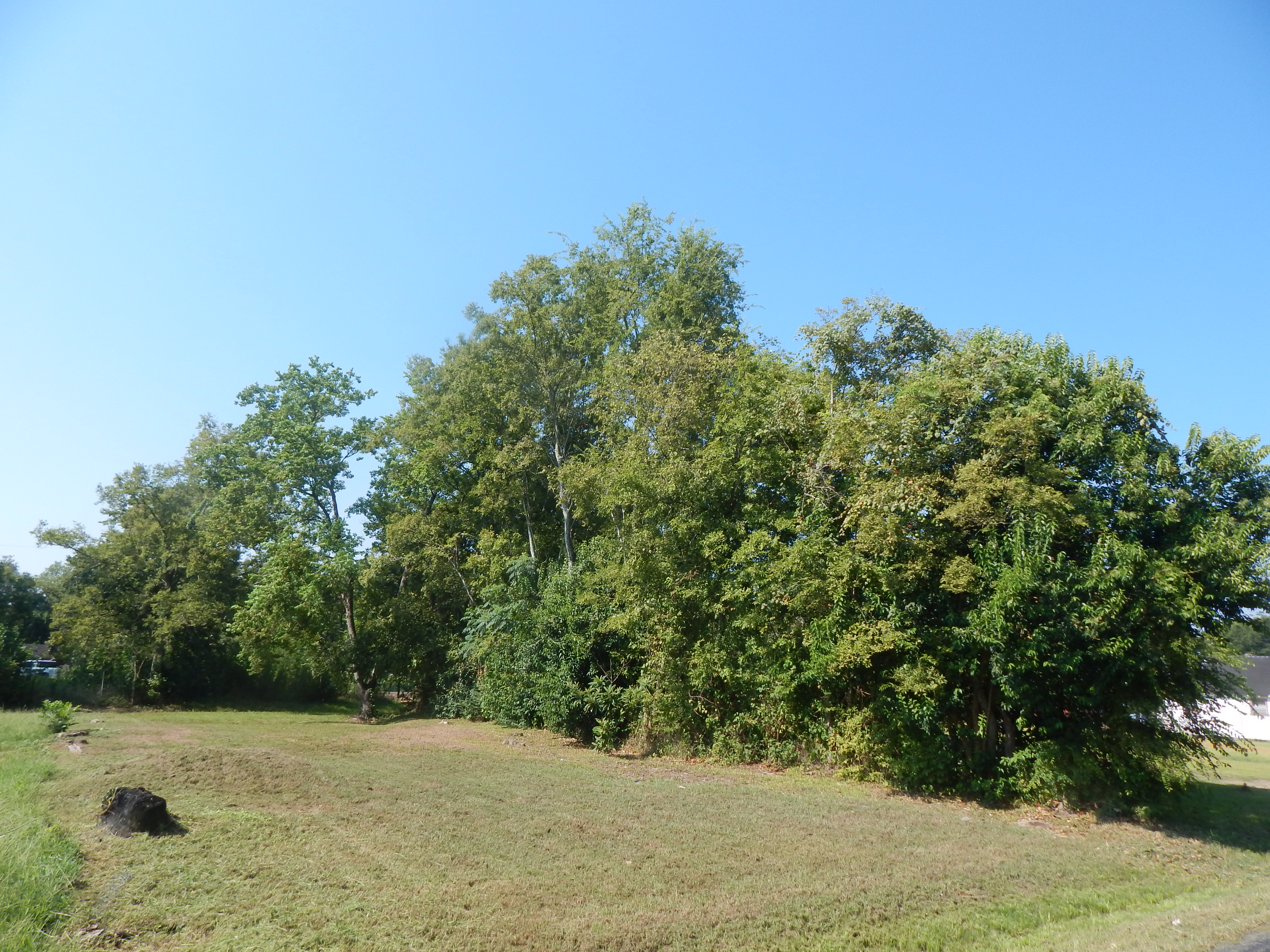 vacant-land-image